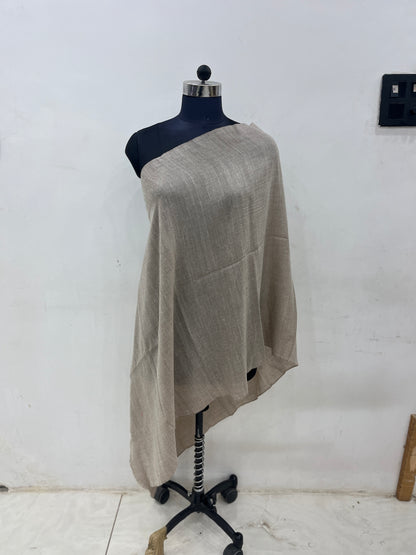 Pashmina Neutral Beige Classic Handwoven Shawl