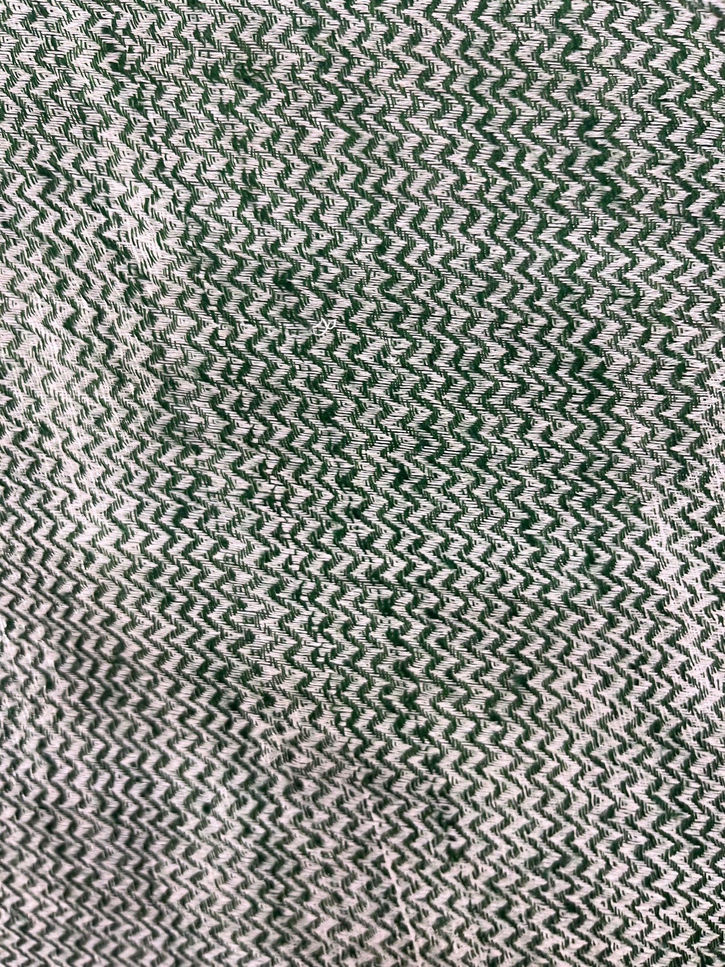 Pashmina Green Self-Patterned Reversible Shawl — Fishbowl Design